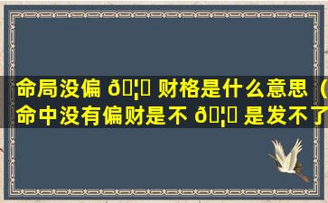 命局没偏 🦊 财格是什么意思（命中没有偏财是不 🦅 是发不了财）